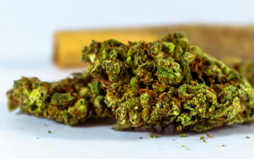 Achat CBD Suisse : comment choisir un CBD de qualité en 2026